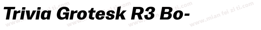 Trivia Grotesk R3 Bo字体转换